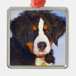 Bernese Mountain Puppy Dog - Colour Pencil Sketch Metalen Ornament
