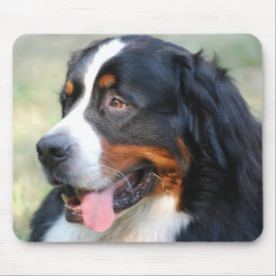 Bernese Mountain Puppy Muismat