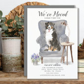 Bernese Mountain We hebben een bewegende aankondig Aankondiging