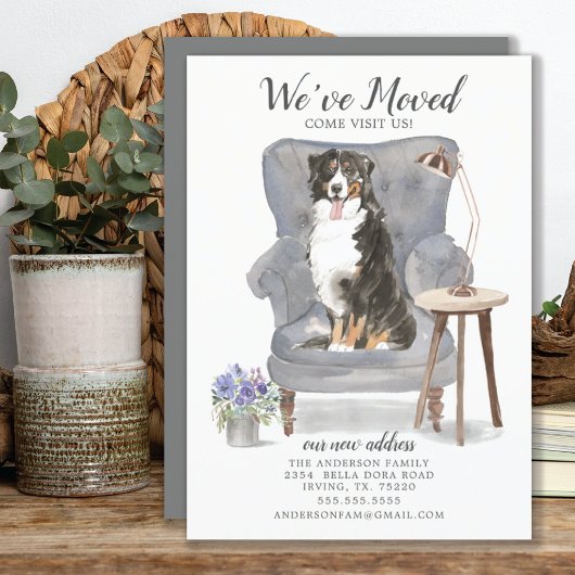 Bernese Mountain We hebben een bewegende aankondig Aankondiging