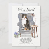 Bernese Mountain We hebben een bewegende aankondig Aankondiging (Voorkant)