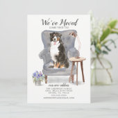 Bernese Mountain We hebben een bewegende aankondig Aankondiging (Staand voorkant)