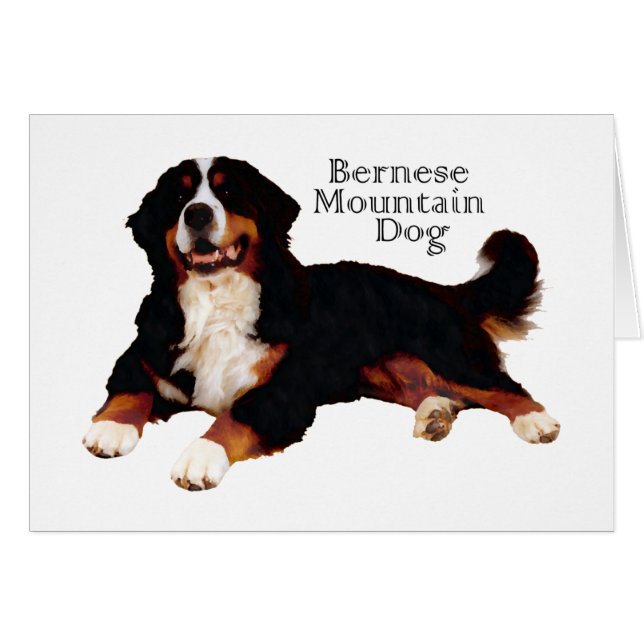 BERNESE Mt. Dog (Voorkant Horizontaal)