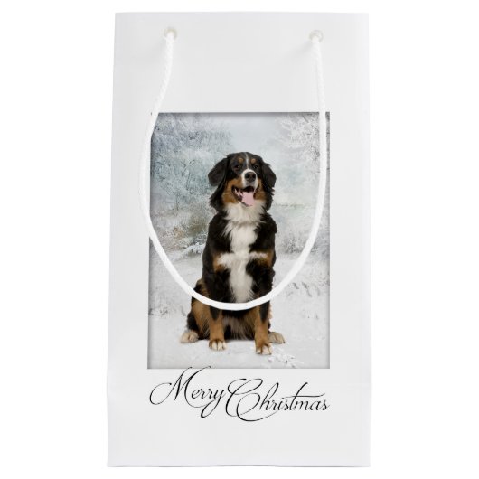 Bernese Mt. Dog kerstcadeau Klein Cadeauzakje (Voorkant)