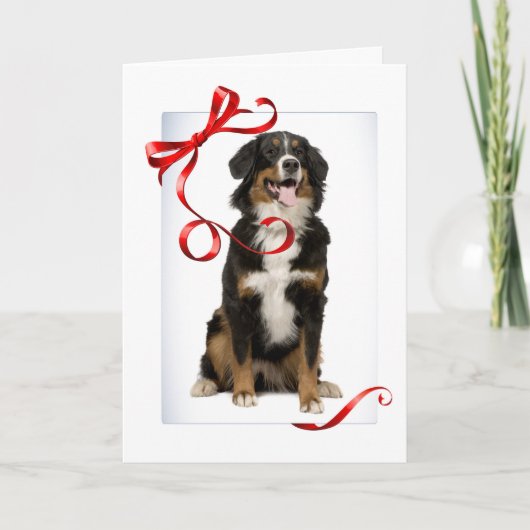 Bernese Mt. Dog-kerstkaart Feestdagen Kaart (Voorkant)