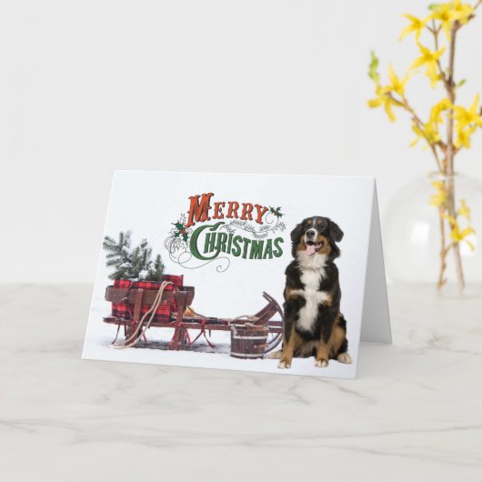 Bernese Mt. Dog Kerstkaart Kaart (Gele Bloem)