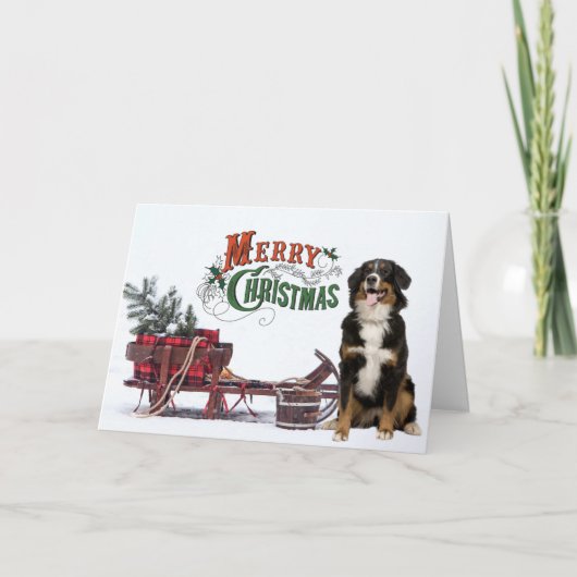Bernese Mt. Dog Kerstkaart Kaart (Voorkant)