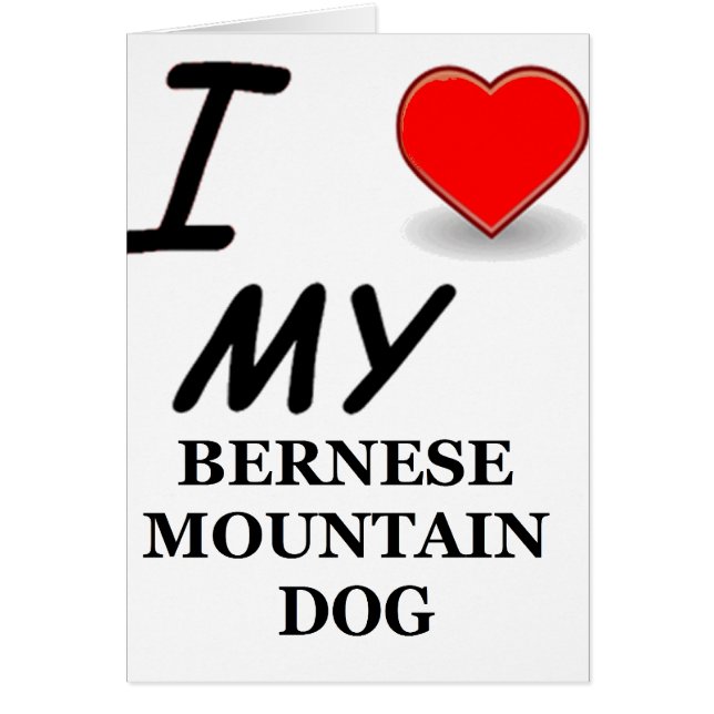bernese mt dog love (Voorkant)