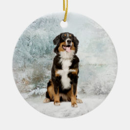 Bernese Mt. Dog Ornament