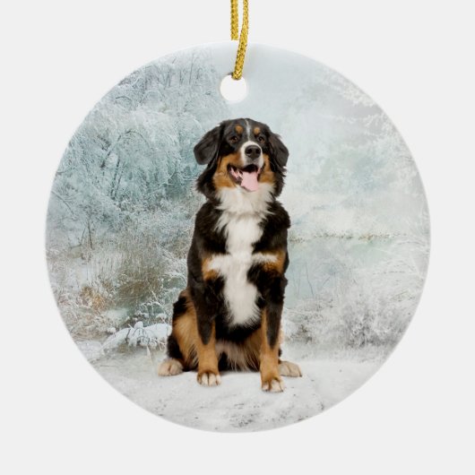 Bernese Mt. Dog Ornament (Voorkant)