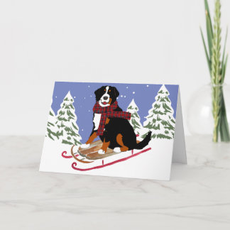 Bernese Mt Dog Sled Feestdagen Kaart