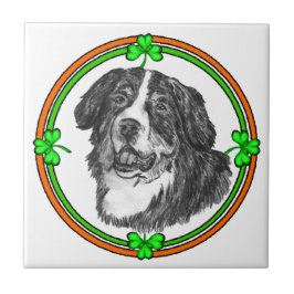 Bernese Mtn Dog St Patricks Tegeltje