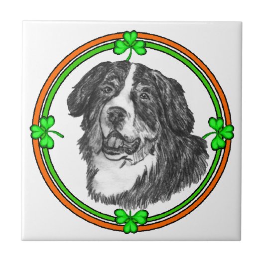 Bernese Mtn Dog St Patricks Tegeltje (Voorkant)