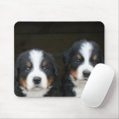 Bernese puppies mousepad muismat (Met muis)