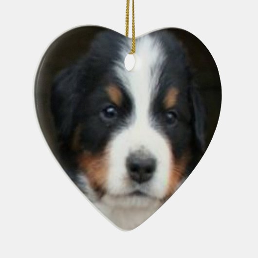 Bernese puppies ornament (Rechts)