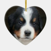 Bernese puppies ornament (Voorkant)