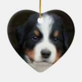 Bernese puppies ornament (Achterkant)