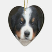 Bernese puppies ornament (Links)