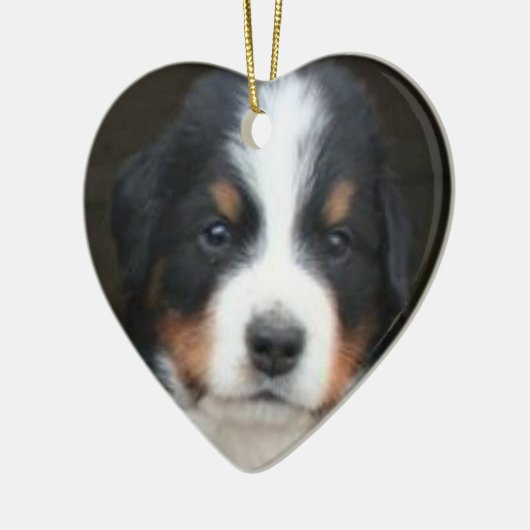 Bernese puppies ornament (Links)