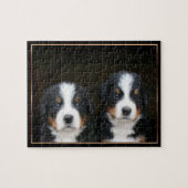 Bernese puppies puzzle legpuzzel (Horizontaal)
