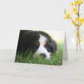 Bernese Puppy Kaart (Gele Bloem)