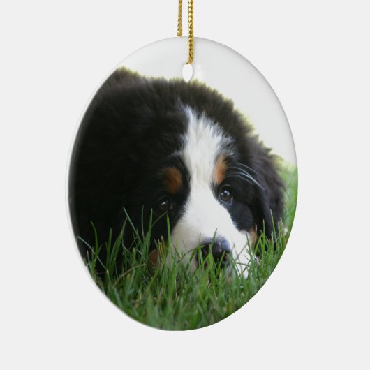 Bernese Puppy Keramisch Ornament (Rechts)