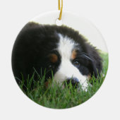 Bernese Puppy Keramisch Ornament (Voorkant)