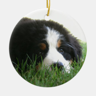 Bernese Puppy Keramisch Ornament