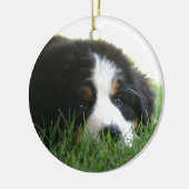 Bernese Puppy Keramisch Ornament (Links)