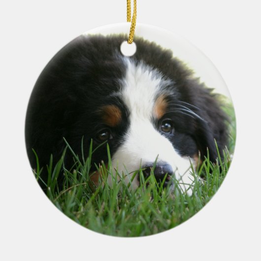 Bernese Puppy Keramisch Ornament (Voorkant)