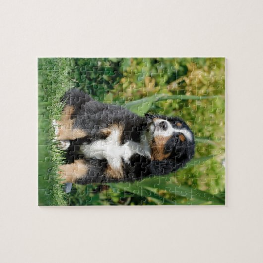 Bernese puppy legpuzzel (Horizontaal)