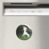 Bernese Puppy Magneet (Insitu (Vaatwasser))