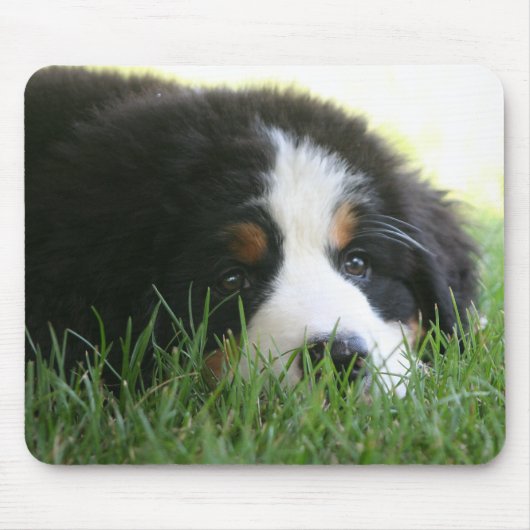 Bernese Puppy Mousepad Muismat (Voorkant)
