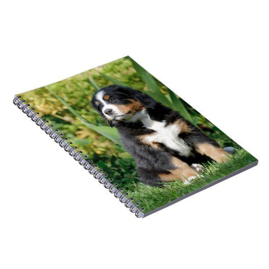 Bernese puppy notitieboek (Rechterzijde)