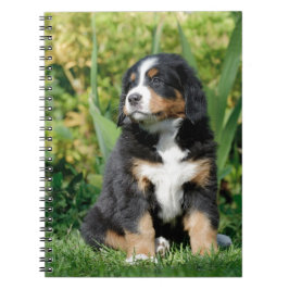 Bernese puppy notitieboek