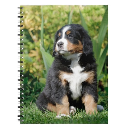 Bernese puppy notitieboek (Voorkant)