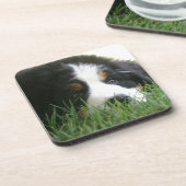 Bernese Puppy Onderzetter (Linkerzijde)