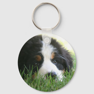 Bernese Puppy Sleutelhanger