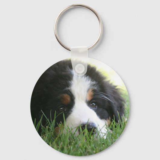 Bernese Puppy Sleutelhanger (Voorkant)