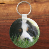 Bernese Puppy Sleutelhanger (Voorkant)