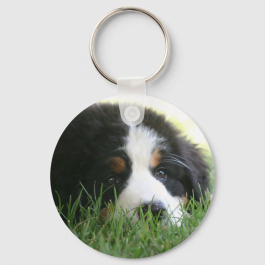 Bernese Puppy Sleutelhanger (Voorkant)