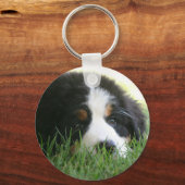 Bernese Puppy Sleutelhanger (Voorkant)