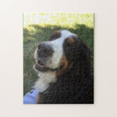 Bernese Puzzle Legpuzzel (Verticaal)
