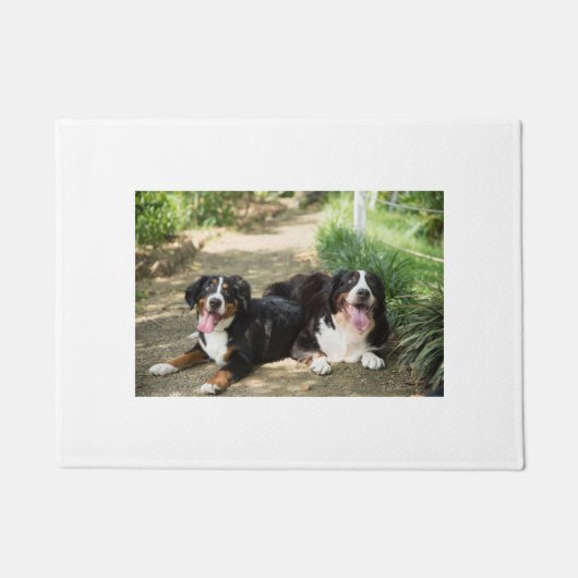 bernese roestgroep voor bernese honden deurmat (Voorkant)