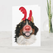Bernese Roodolph (Rudolph) Feestdagen Kaart (Voorkant)