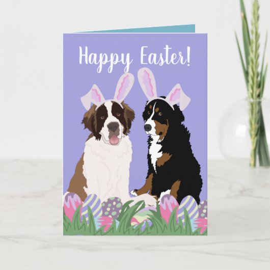 Bernese Saint Bernard Easter Kaart (Voorkant)