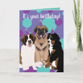 Bernese, Saint Bernard, Leonberger Birthday Kaart (Voorkant)