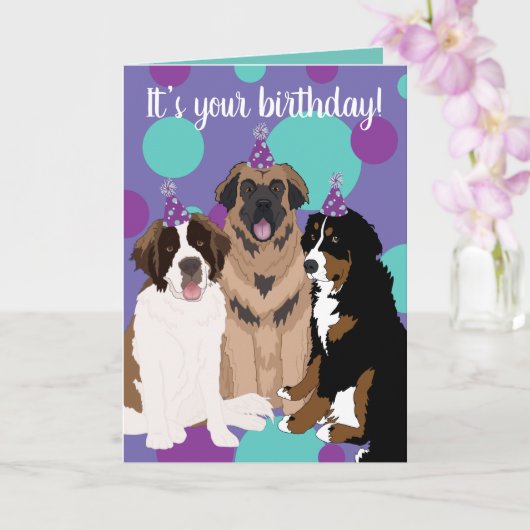 Bernese, Saint Bernard, Leonberger Birthday Kaart (Orchidee)
