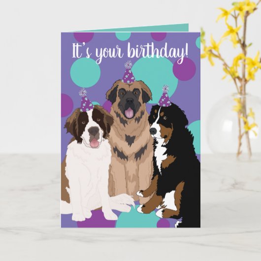 Bernese, Saint Bernard, Leonberger Birthday Kaart (Gele Bloem)