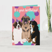 Bernese, Saint Bernard, Leonberger Birthday Kaart (Voorkant)